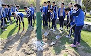 感恩母校  根植附中——高三年级举行种植毕业纪念树活动