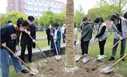 种纪念树  感培育恩——高三年级举行种植毕业纪念树活动